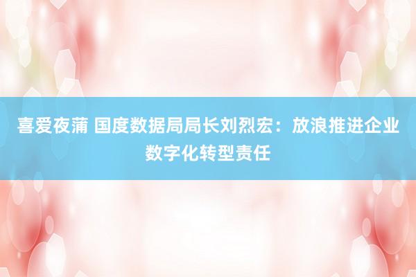 喜爱夜蒲 国度数据局局长刘烈宏：放浪推进企业数字化转型责任