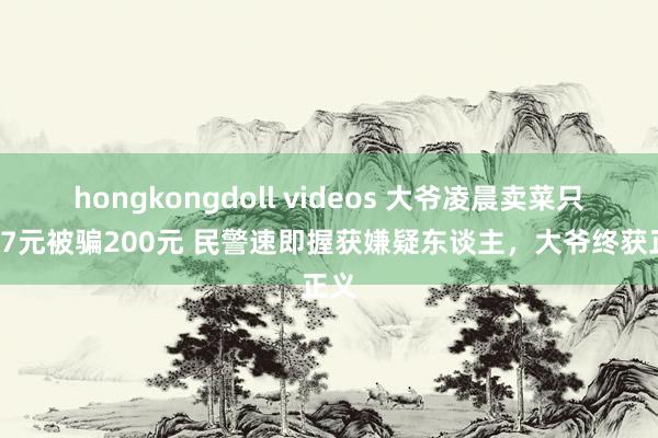 hongkongdoll videos 大爷凌晨卖菜只赚27元被骗200元 民警速即握获嫌疑东谈主，大爷终获正义