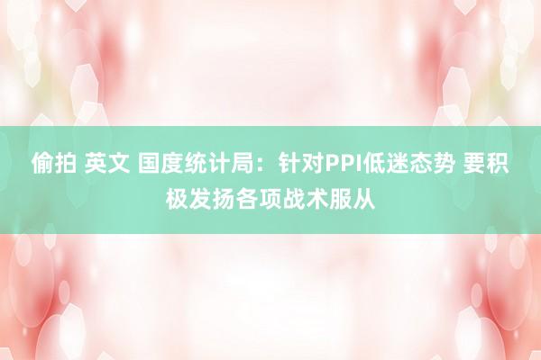 偷拍 英文 国度统计局：针对PPI低迷态势 要积极发扬各项战术服从