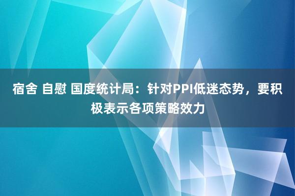 宿舍 自慰 国度统计局：针对PPI低迷态势，要积极表示各项策略效力